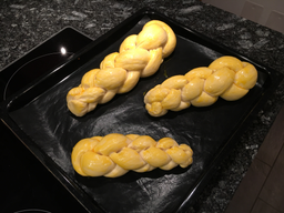 Tarschoula e conserva